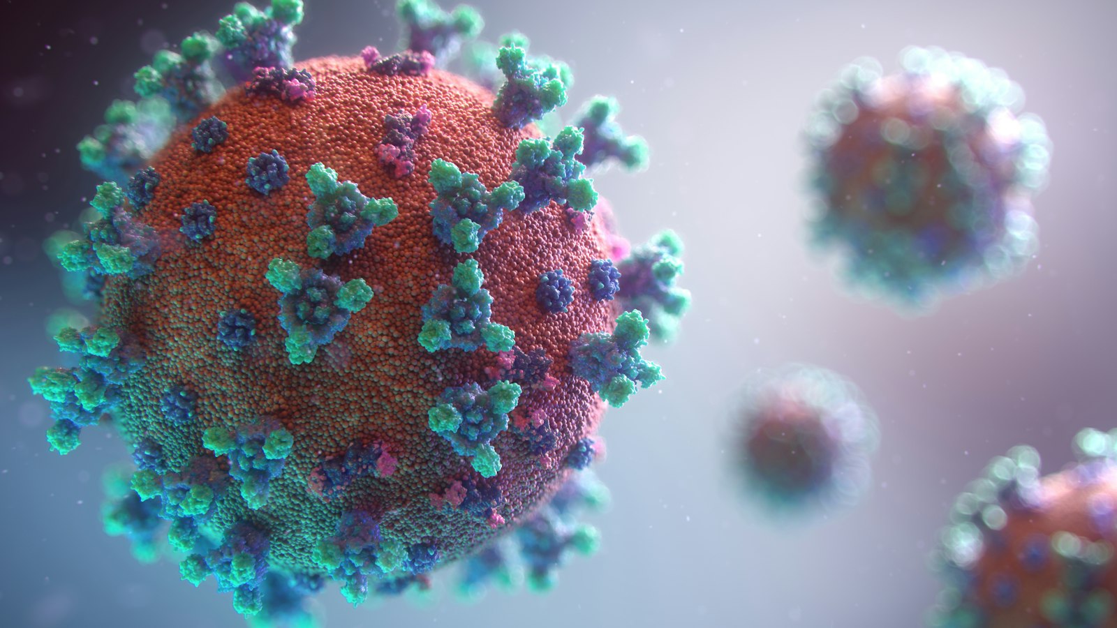 Virus saisonniers : comment éviter les pièges avant votre départ